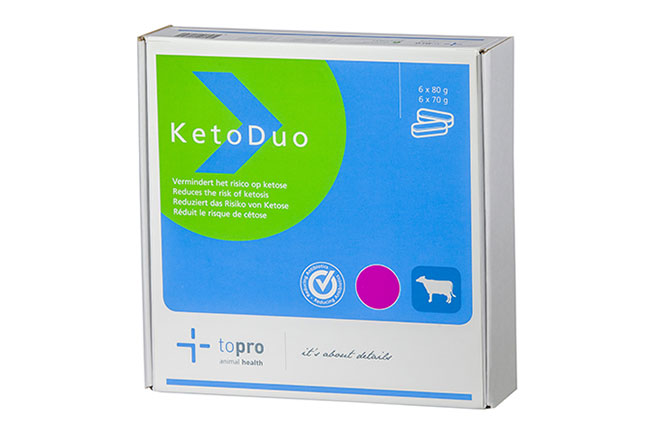 ketoduo.jpg